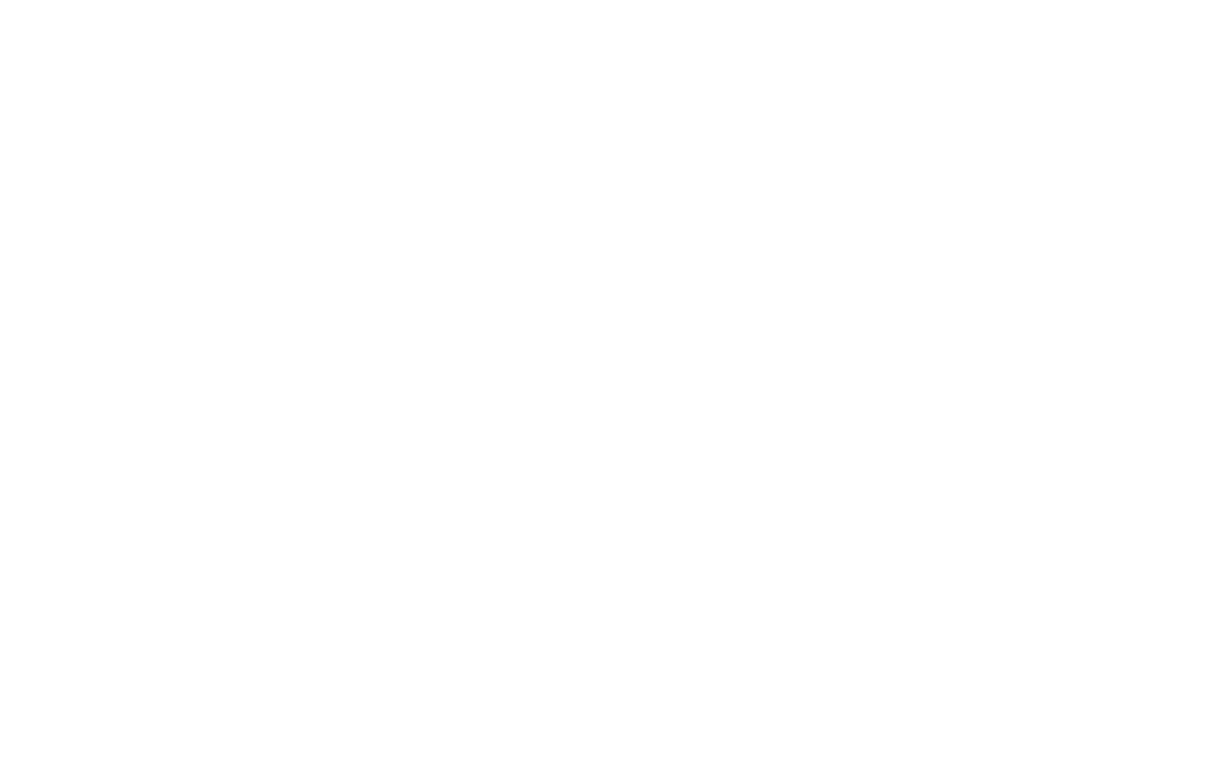 FutPro Elite